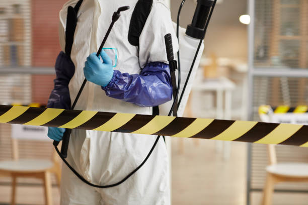 Professional Sewage Cleanup technician working in Knights Landing, CA
